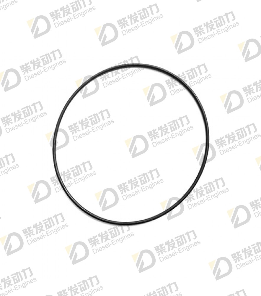 O-ring 925266 
